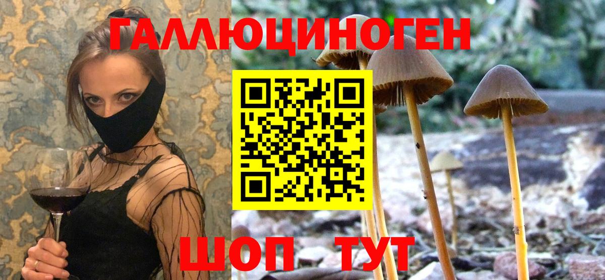 Тимашёвск  Вход с VPN  Каннабис  Мефедрон   Героин  Где продают наркотики?  А ПВП СК   ГАШ 