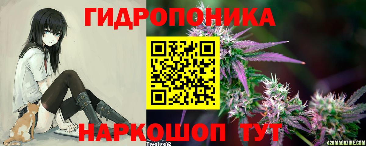 Канабис SATIVA & INDICA  Шишки марихуана план  Тимашёвск  Бошки марихуана SATIVA & INDICA  Вход с VPN 